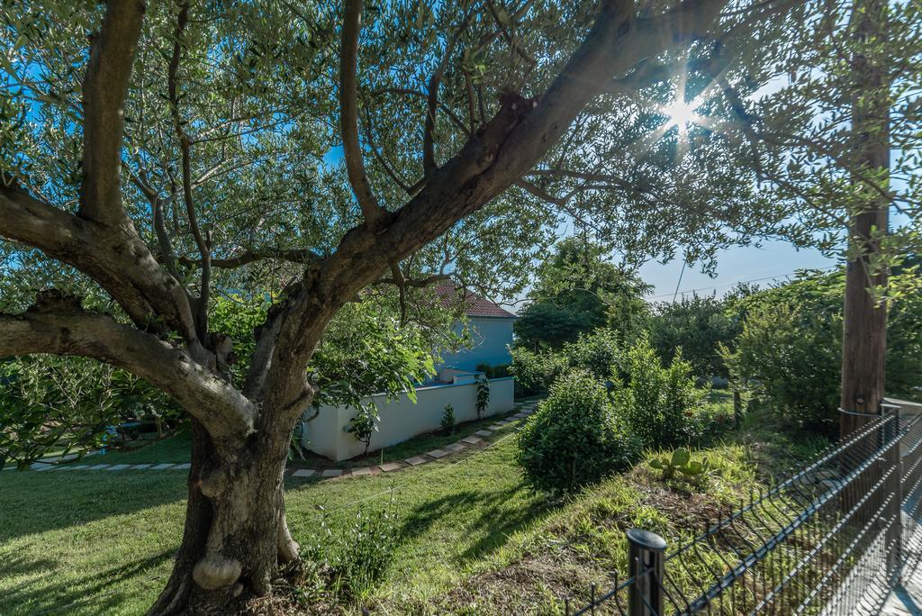 Podvrsje Apartment Robinson מראה חיצוני תמונה