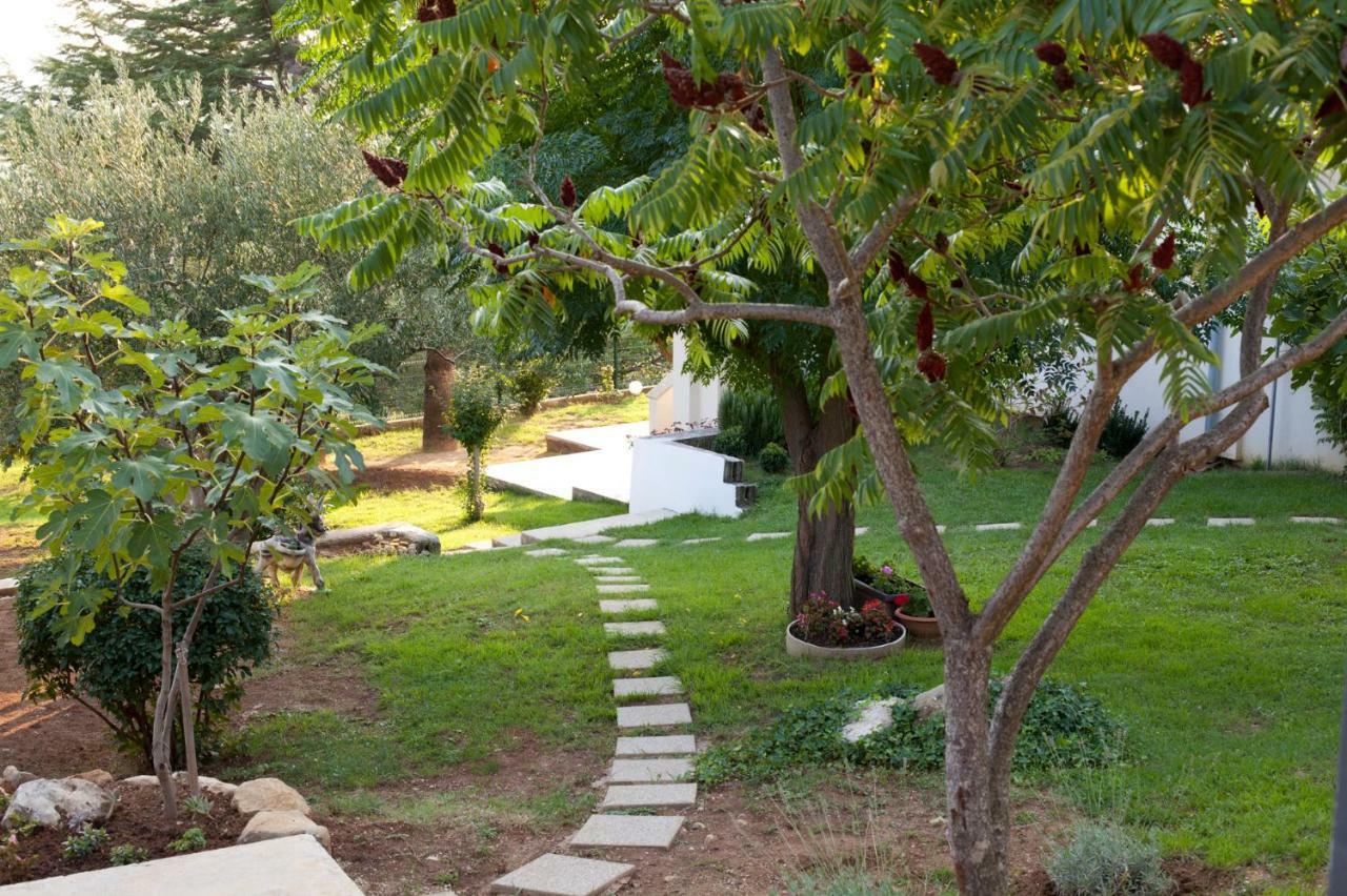 Podvrsje Apartment Robinson מראה חיצוני תמונה