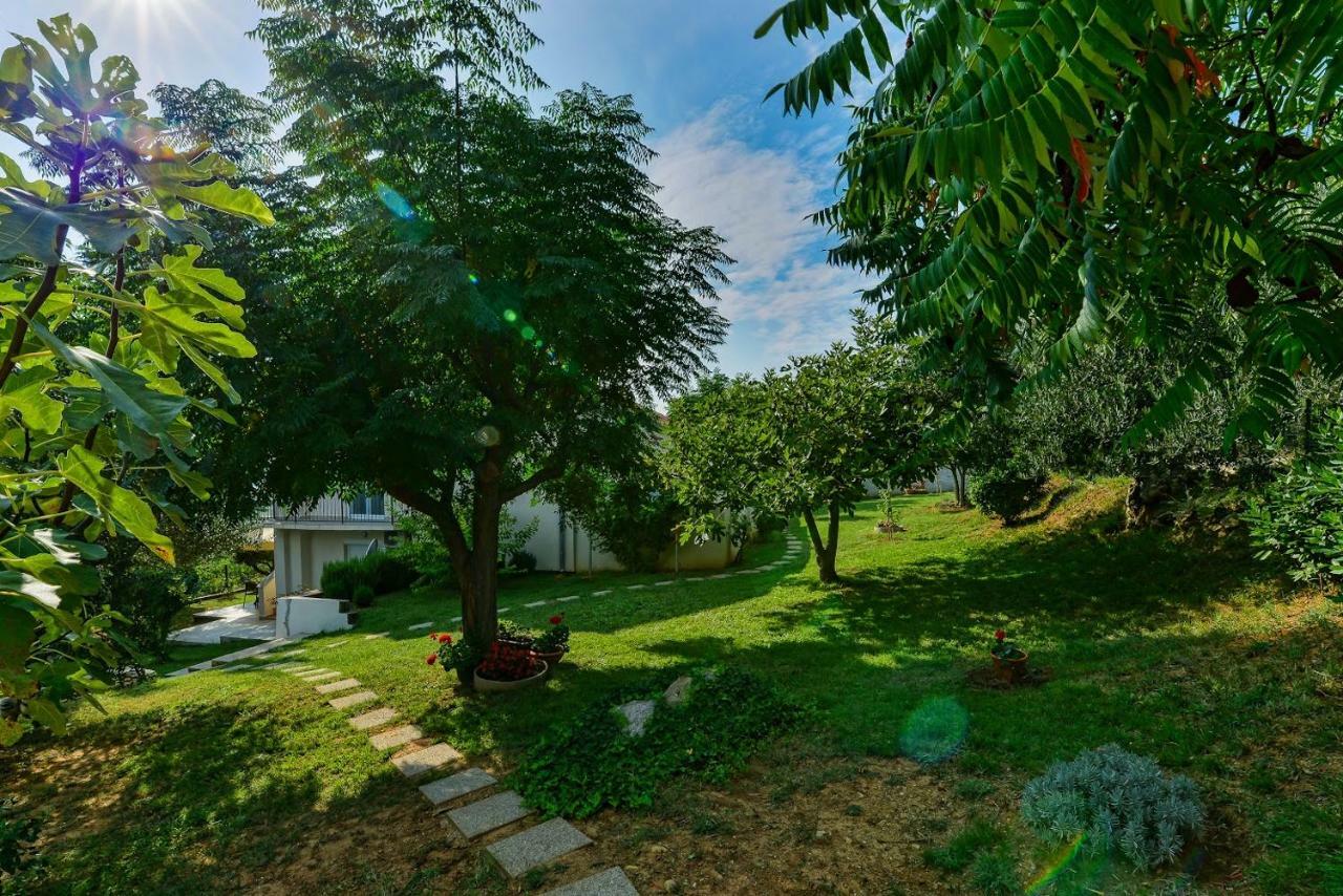 Podvrsje Apartment Robinson מראה חיצוני תמונה